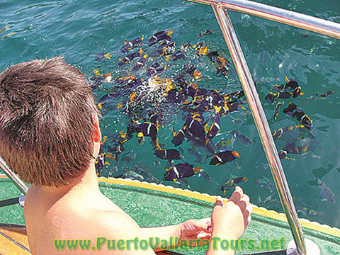 Snorkeling Catamaran Puerto Vallarta