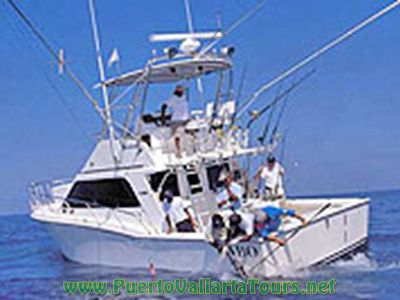 Snorkeling & Fishing Tours 