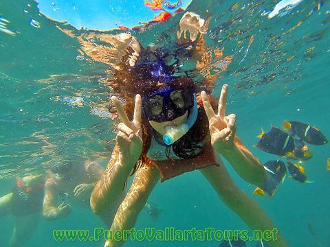 Snorkeling Charter Vallarta