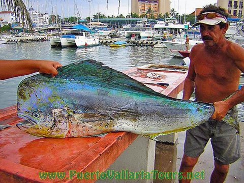 Fising Yacht Puerto Vallarta